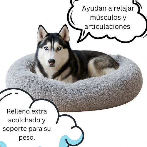 Cama Anti-Estrés + ENVÍO GRATIS