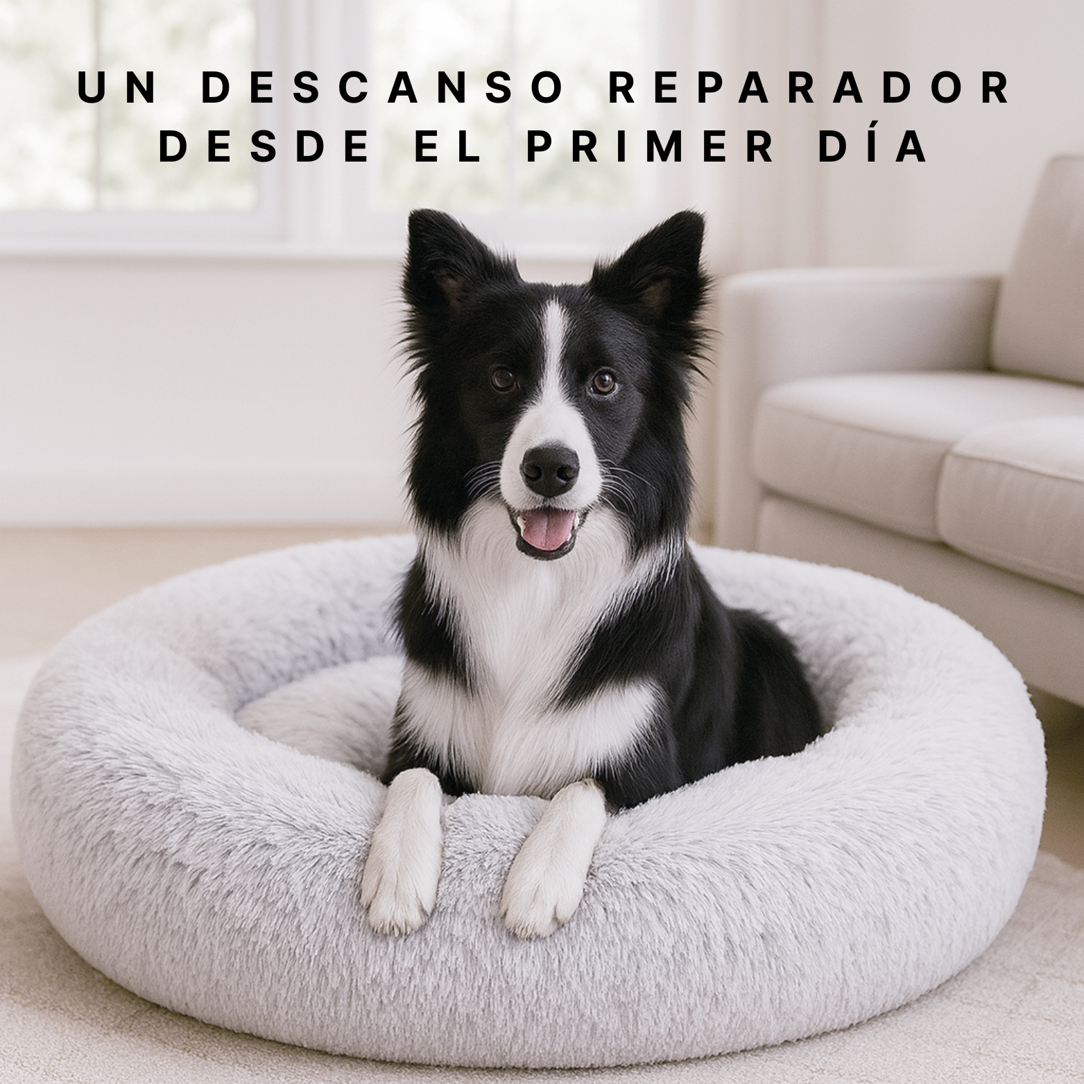 Cama Anti-Estrés + ENVÍO GRATIS