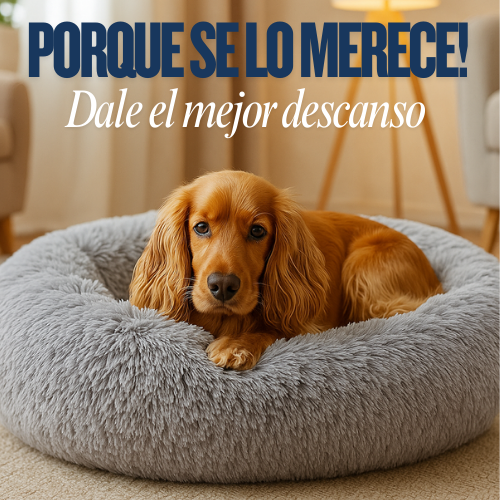 Cama Anti-Estrés + ENVÍO GRATIS